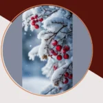 November’s Aesthetic Wallpaper Wonderland Awaits!