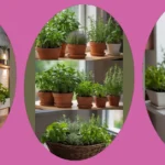 Warm Up Your Winter Cooking: 21 Ideas for Indoor Herb Gardening