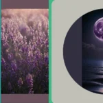 Spice Up Your Tech with 22 Aesthetic Backgrounds