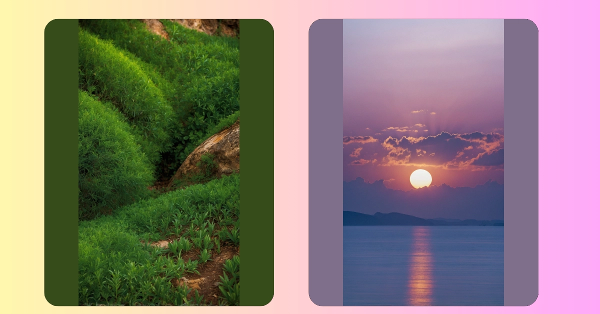 Elevate Your Devices with 22 Creative Backgrounds