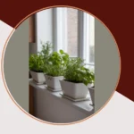 Cozy Indoor Herb Gardening: 21 Fresh Herb Ideas for Holiday Cooking