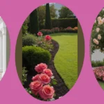 Secret Garden: 20 Enchanting Rose Landscape Ideas for Your Front Yard