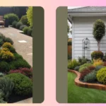 Unlocking Curb Appeal: 21 Front Garden Landscape Ideas