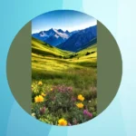 Snapshots from the Peaks: Embracing the Mountain Aesthetic