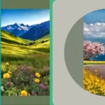 Snap the Snow: Creative Mountain Aesthetic Photography Ideas