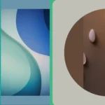 17 Cute and Colorful iPhone Wallpapers for Every Aesthetic